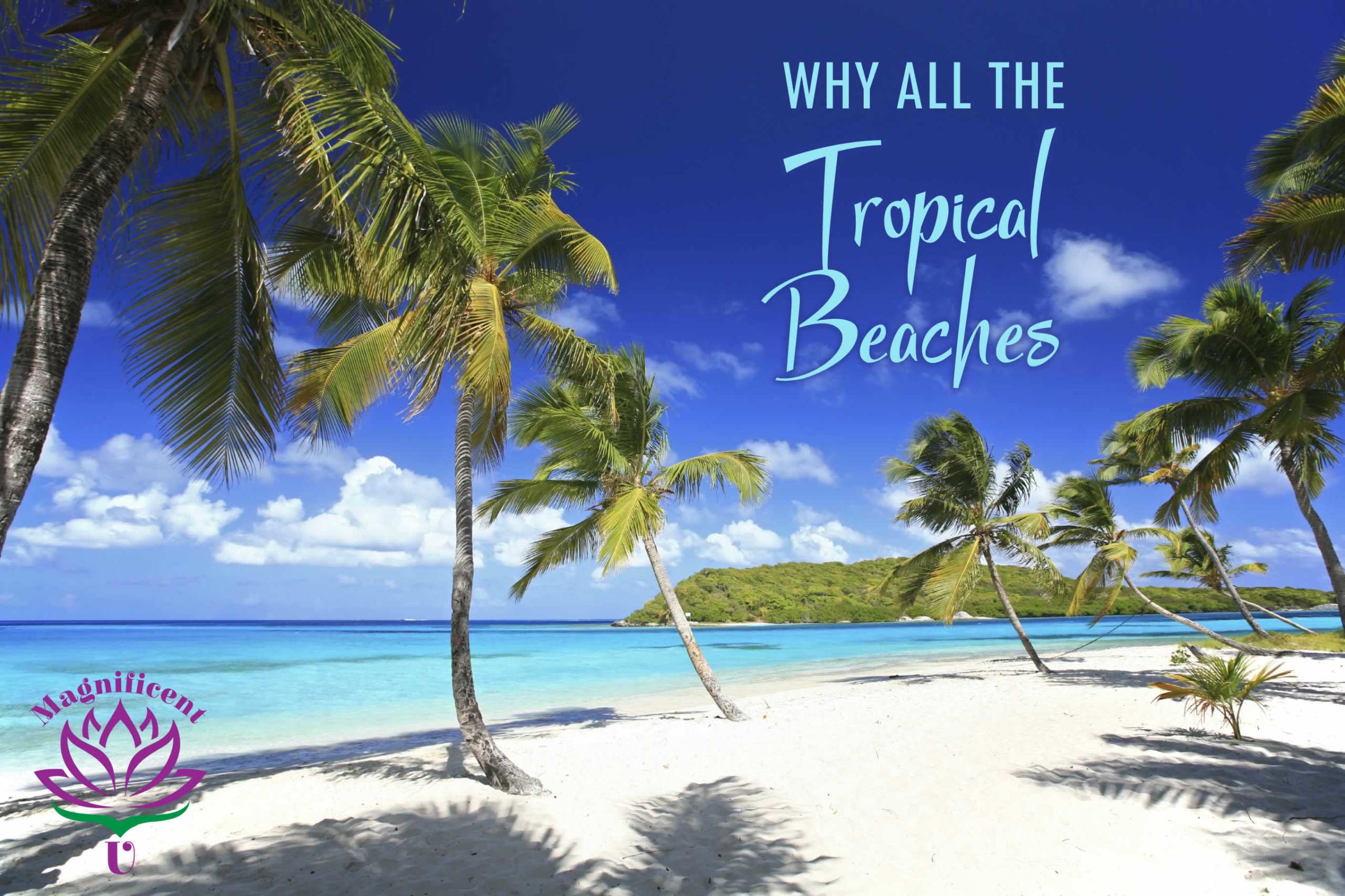 Why Tropical Beaches?