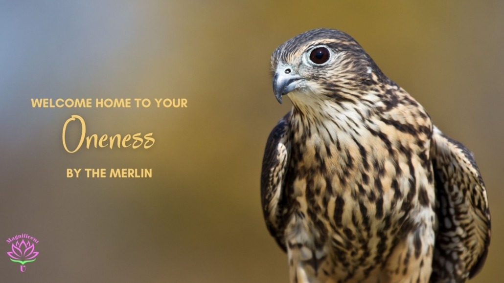Welcome Home to Your Oneness by The Merlin