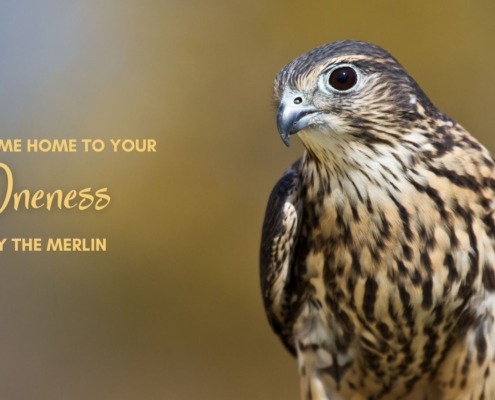 Welcome Home to Your Oneness by The Merlin