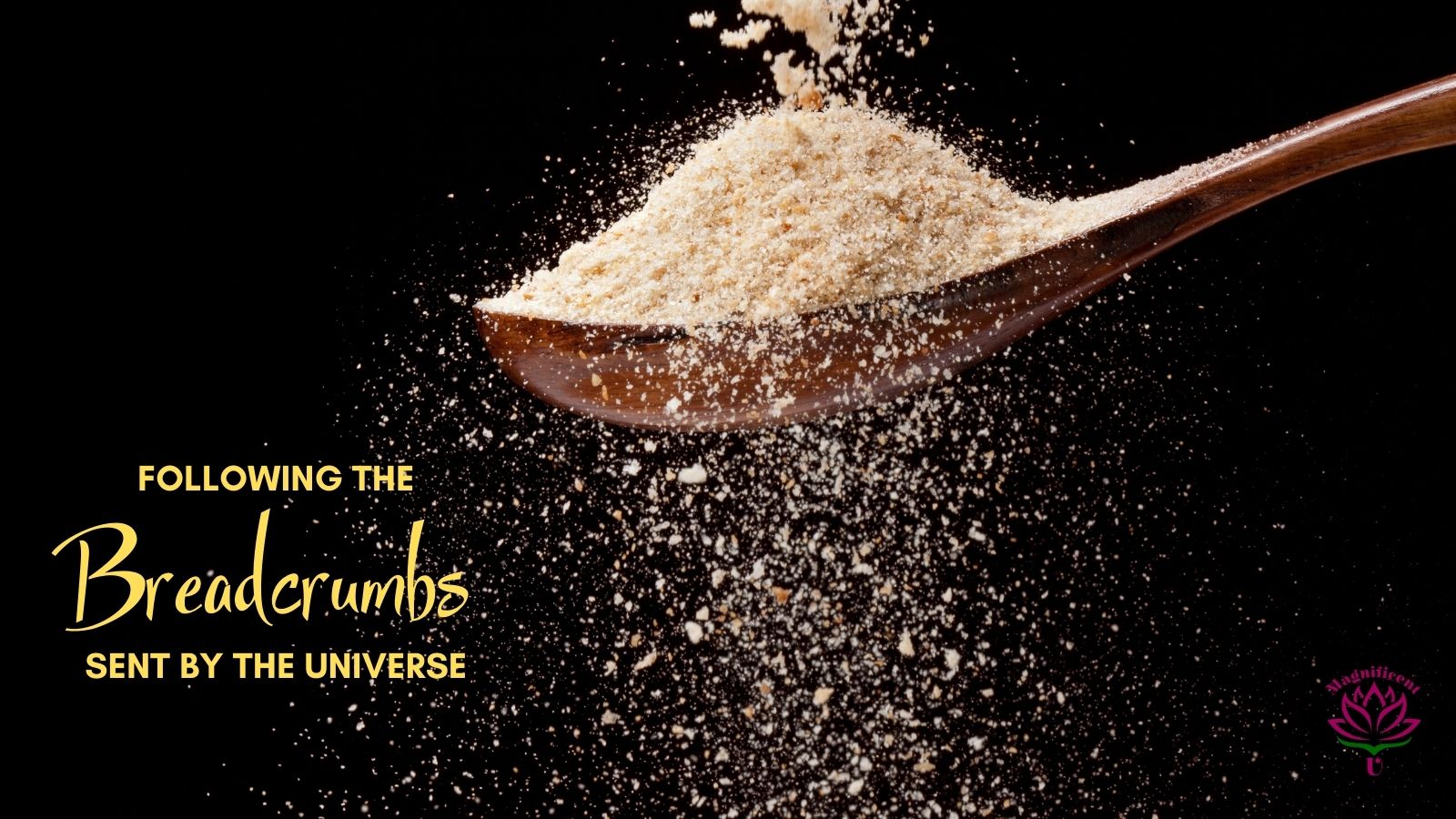 Following the Breadcrumbs Sent by the Universe Magnificent U by