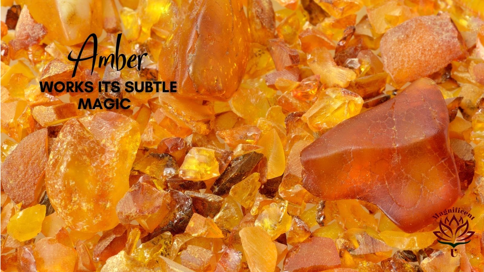 Amber Works Its Subtle Magic Amber Works Its Subtle Magic