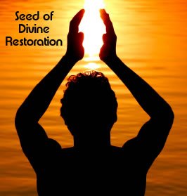 Seed of Divine Restoration Long Distance Energy Healing