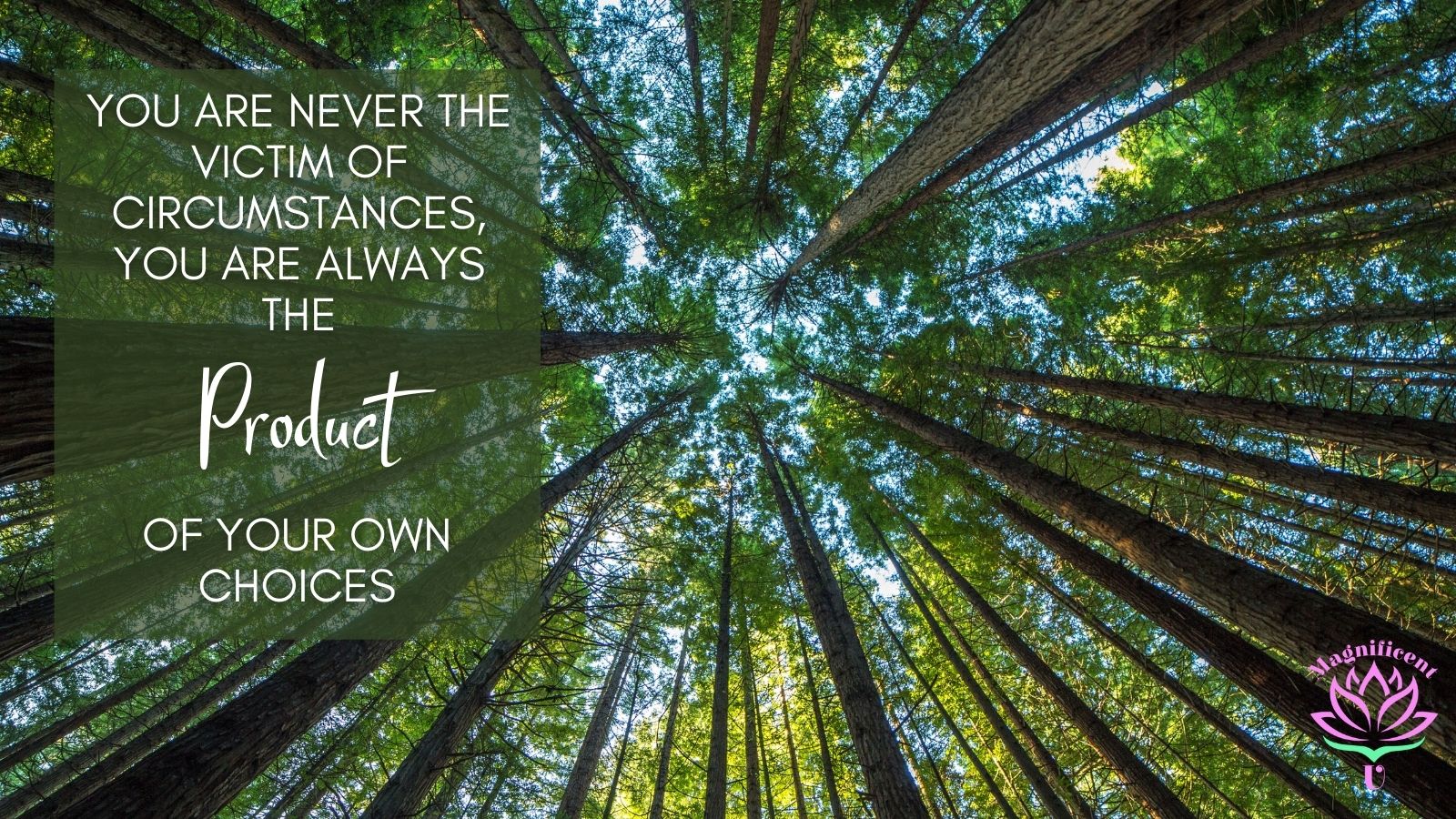 You Are Never the Victim of Circumstances You Are Never the Victim of Circumstances