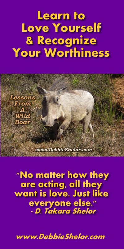 Love and Worthiness Lessons from a Wild Boar