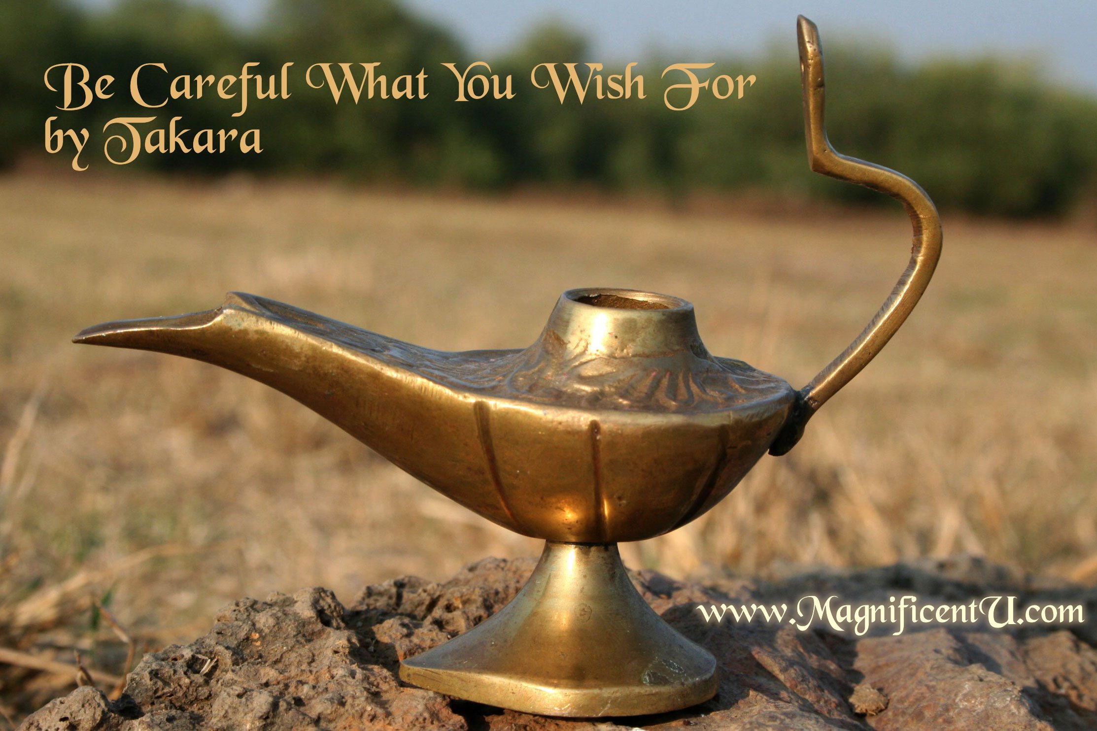 Be Careful What You Ask For - Genie Lamp