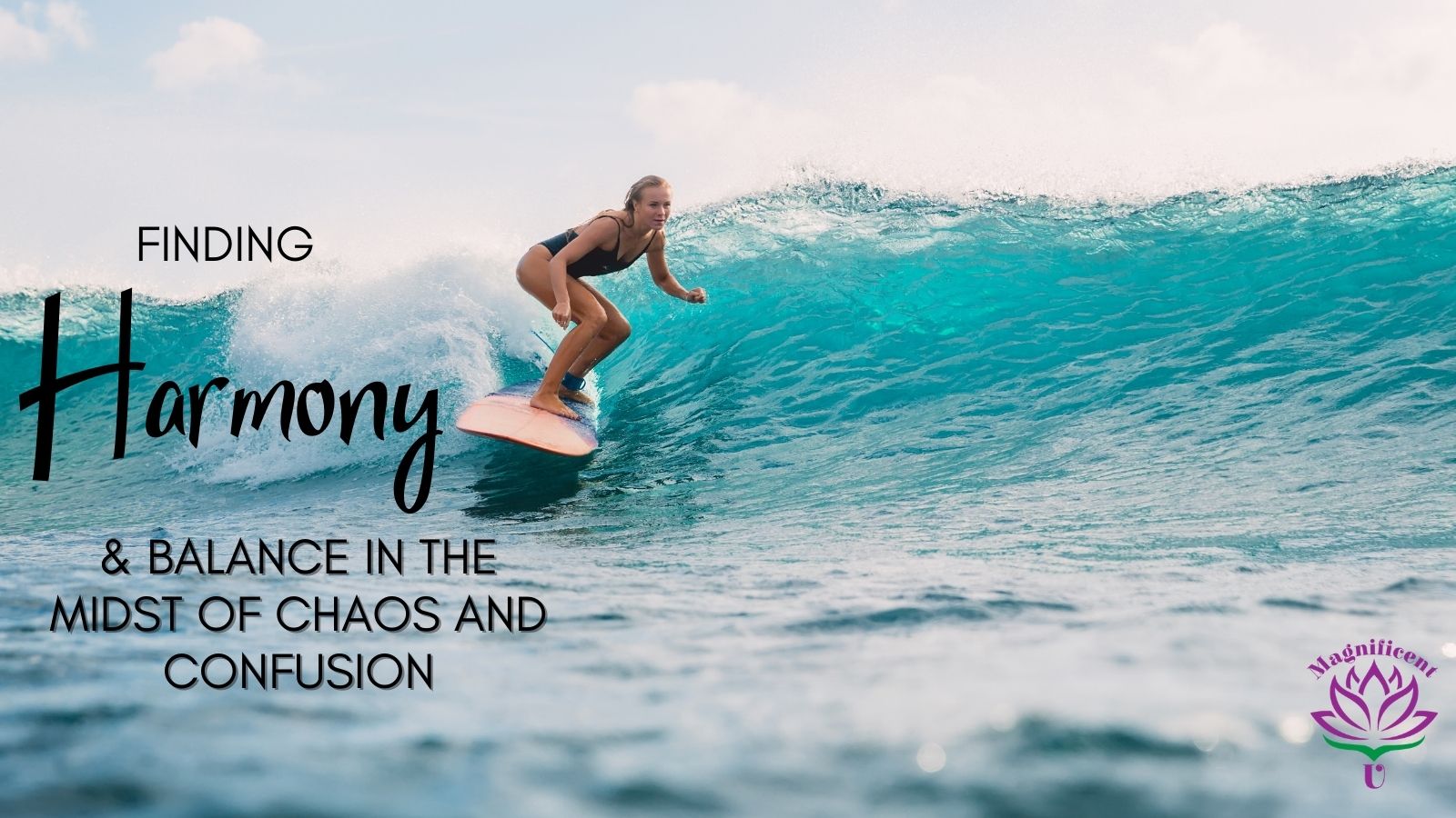 Finding Harmony & Balance in the Midst of Chaos and Confusion Finding Harmony & Balance in the Midst of Chaos and Confusion