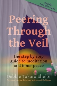 Peering Through the Veil Bestselling Meditation Book