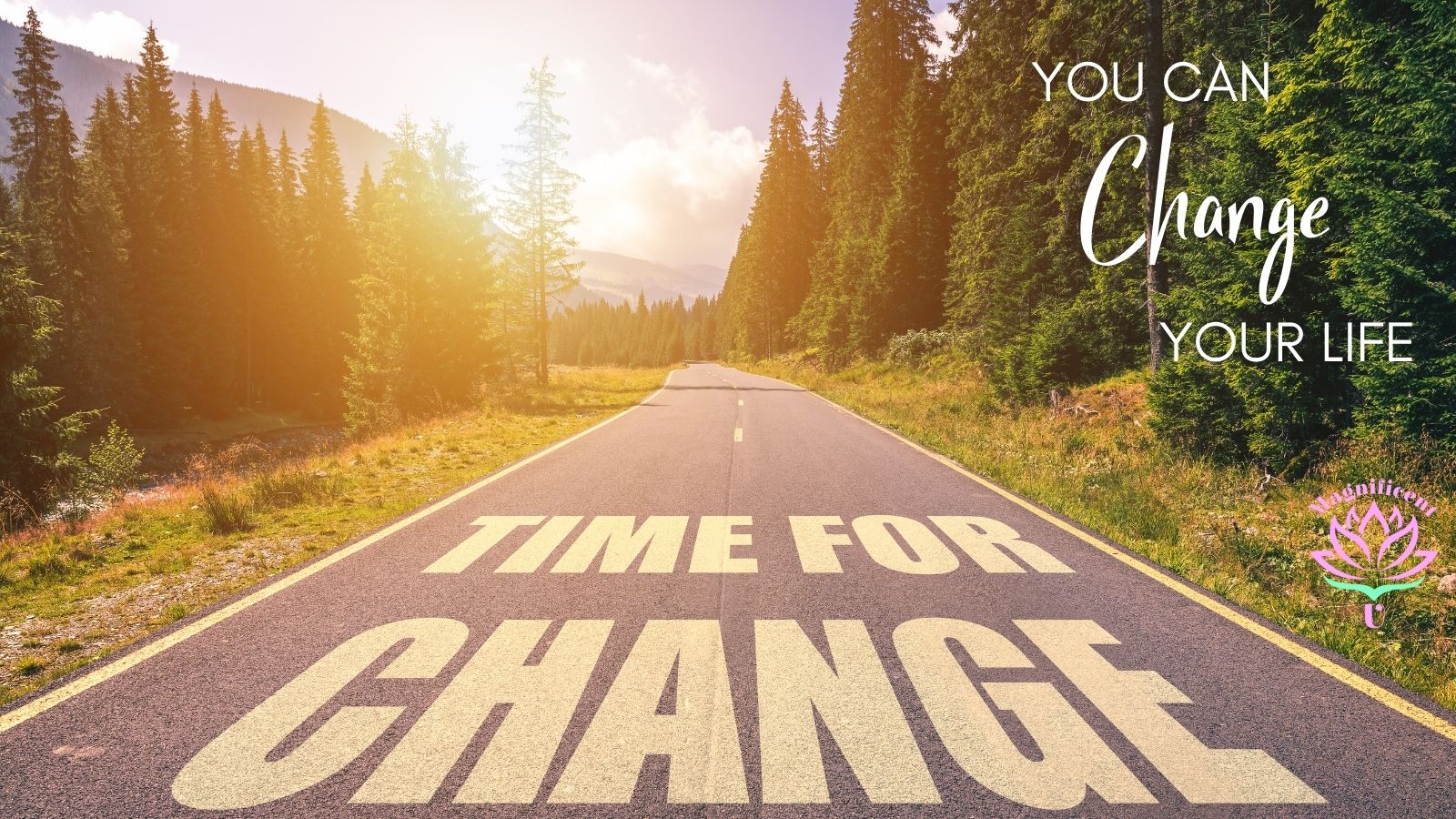 You Can Change Your Life You Can Change Your Life