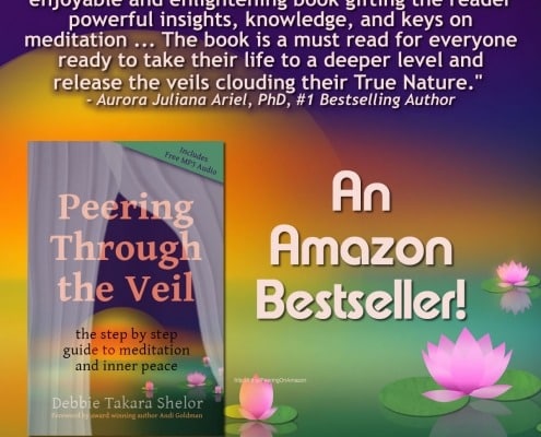 Peering Through the Veil Meditation Book
