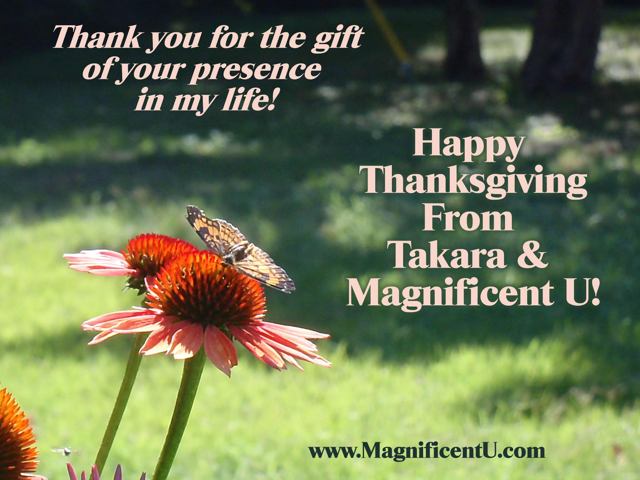 Happy Thanksgiving from Bestselling Author Debbie Takara Shelor