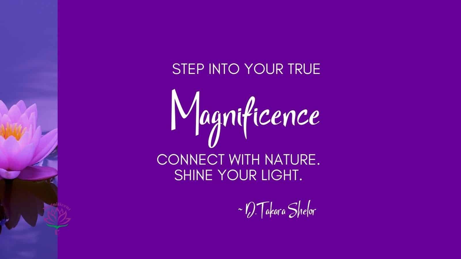 Step Into Your True Magnificence, Connect With Nature, Shine Your Light 4 Step Into Your True Magnificence
