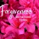 Forgiveness Power