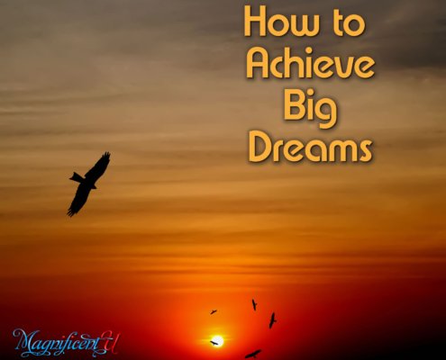 Achieve Big Dreams by Takara