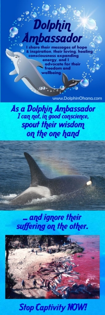 Dolphin Advocate
