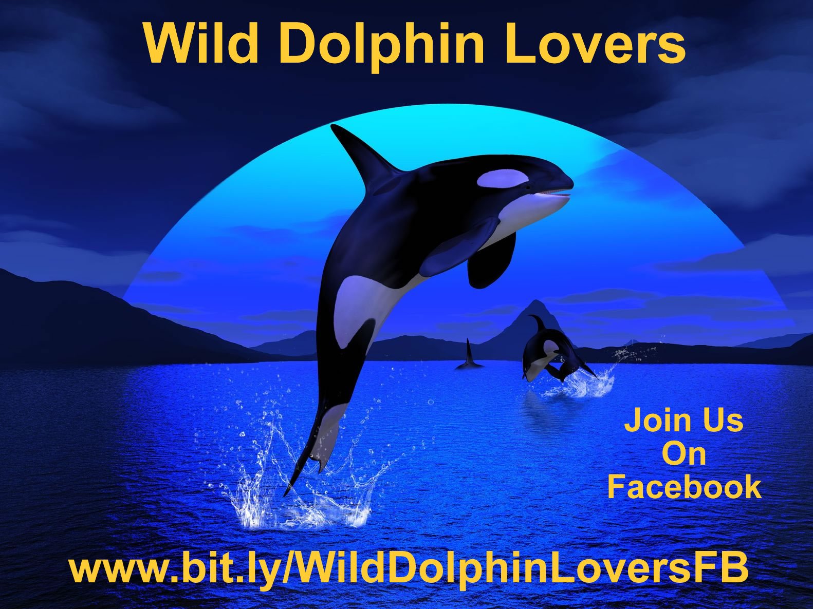 Free Guided Meditation for Dolphins, Whales, and Water