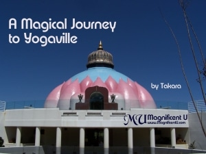 Yogaville - The Lotus Temple