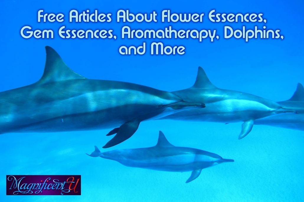 Free Articles About Flower Essences, Gem Essences, Aromatherapy, Dolphins, and More