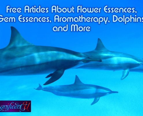 Free Articles About Flower Essences, Gem Essences, Aromatherapy, Dolphins, and More