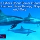 Free Articles About Flower Essences, Gem Essences, Aromatherapy, Dolphins, and More