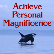 Magnificence