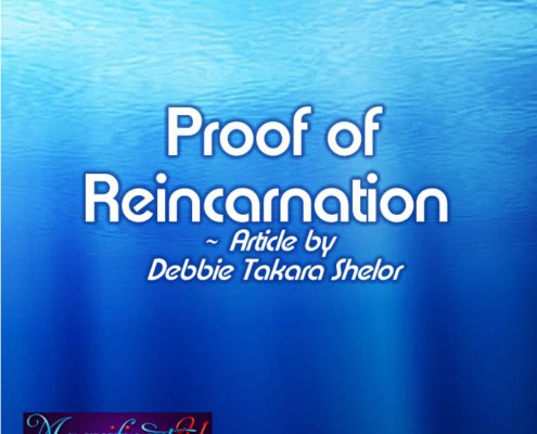 Proof of Reincarnation article by Takara