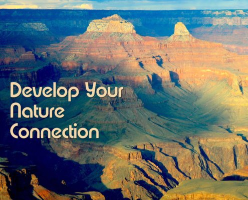 How to Develop a Deep Nature Connection