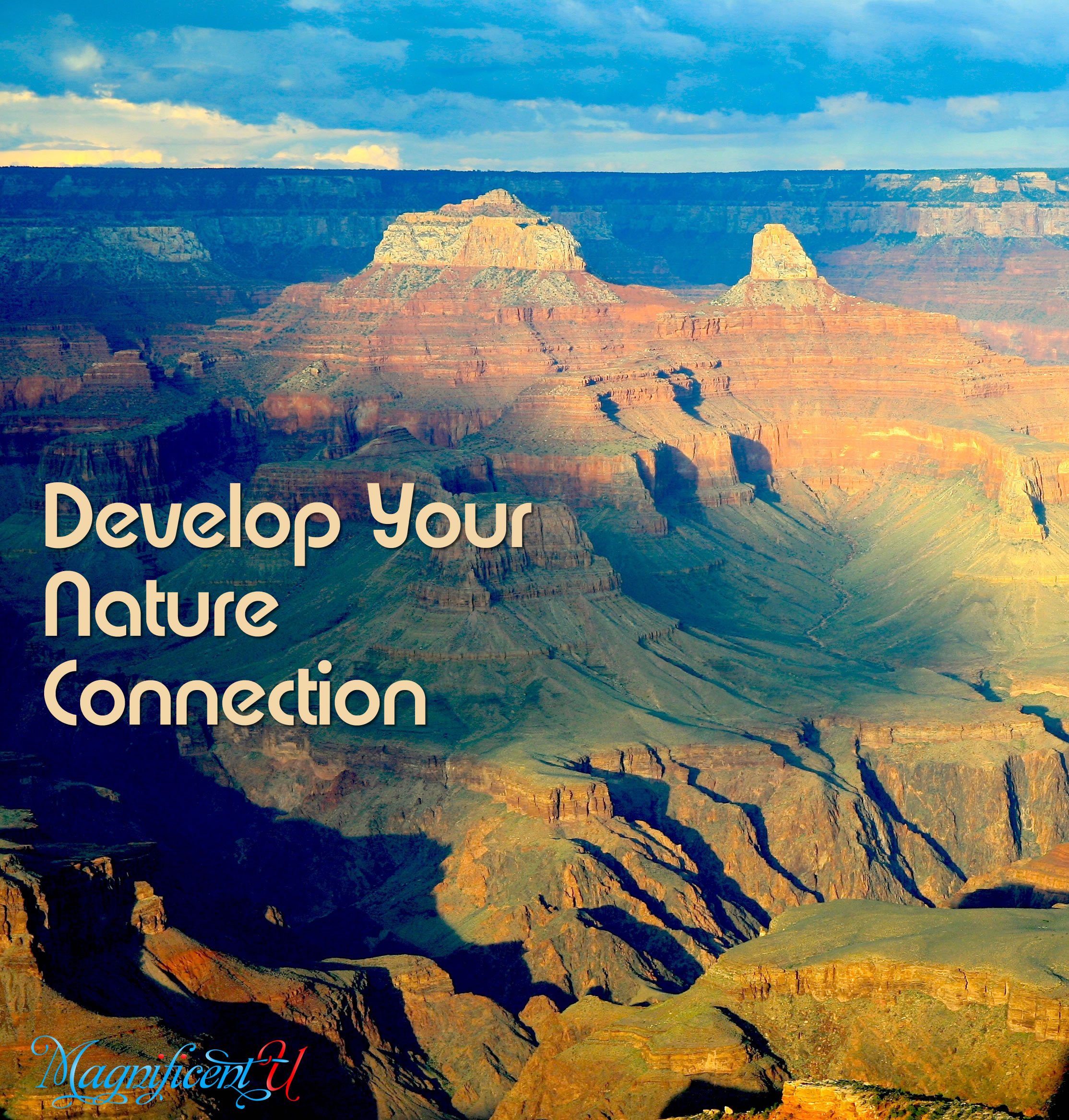 How to Develop a Deep Nature Connection