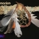 Shamanism