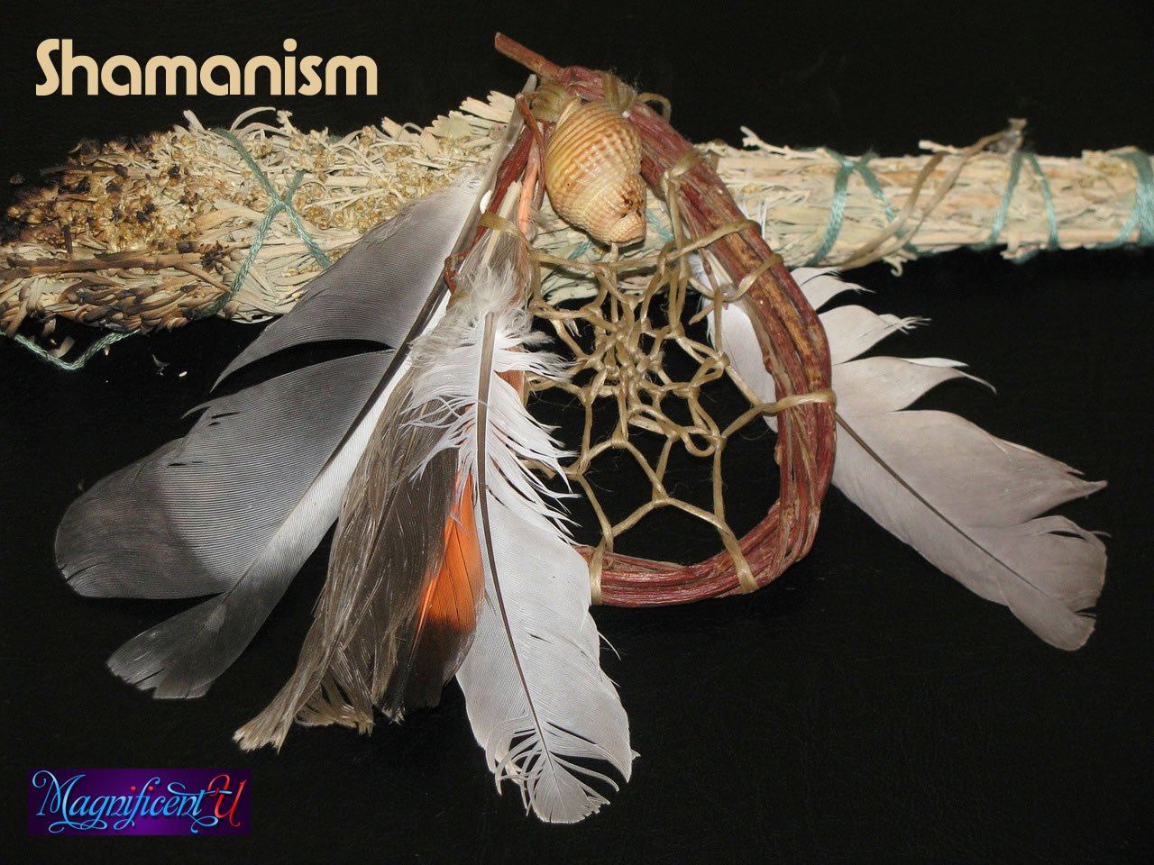 Shamanism