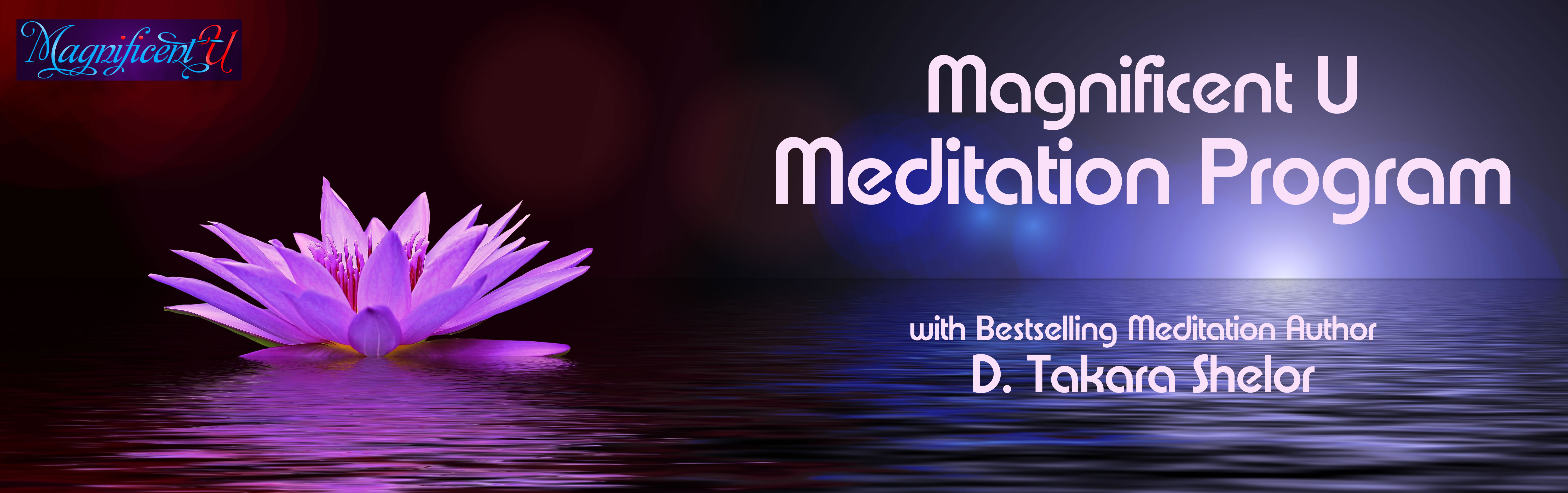Learn how to meditate with the online meditation ecourse