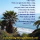 Bruce Lee Quote on Magnificent U with Takara