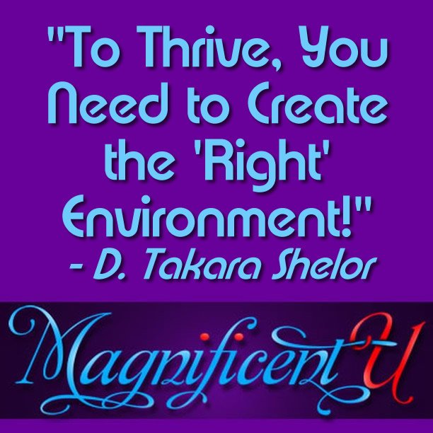 Create the Right Environment for Children to Thrive