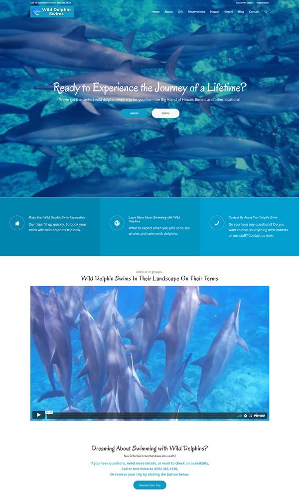 Wordpress Blog Design Sample