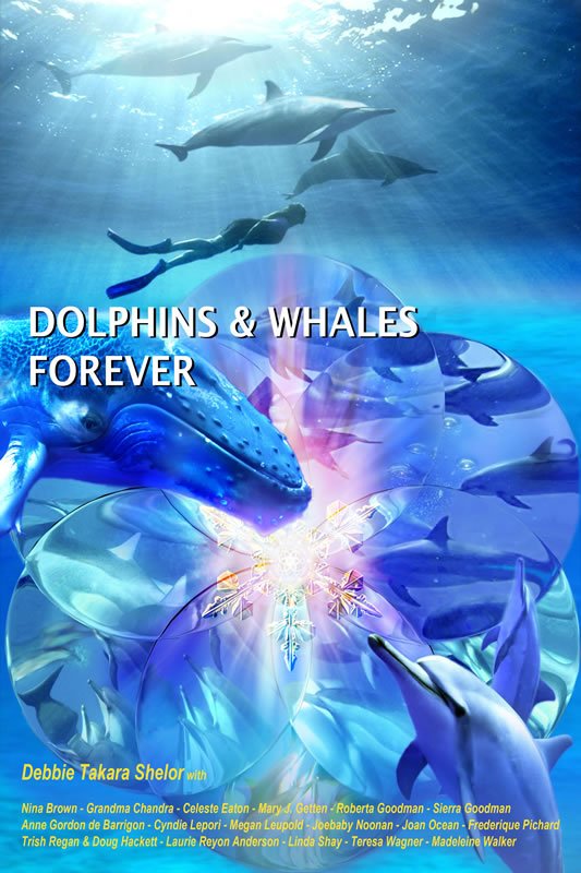 Dolphins & Whales Forever #1 Bestselling Book