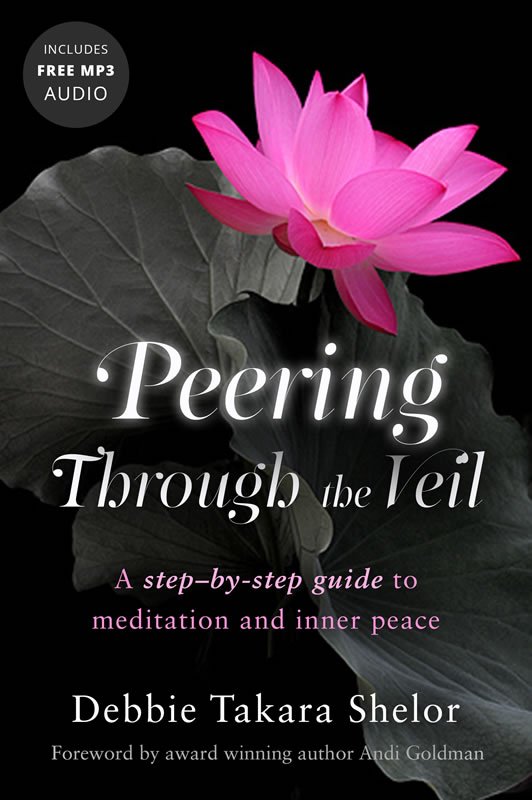 Bestselling Meditation Book Peering Through the Veil