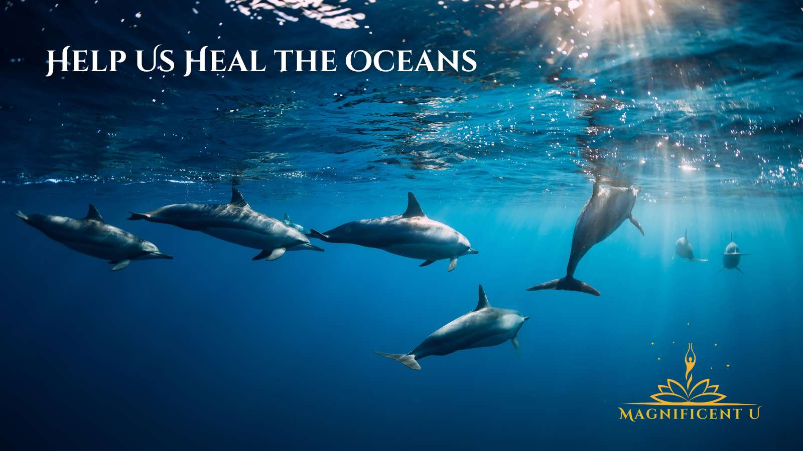 Help Heal the Oceans Ocean Healing Meditation