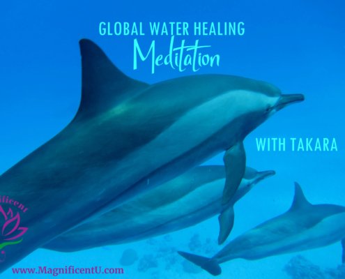 Global Water Healing Meditation with Takara