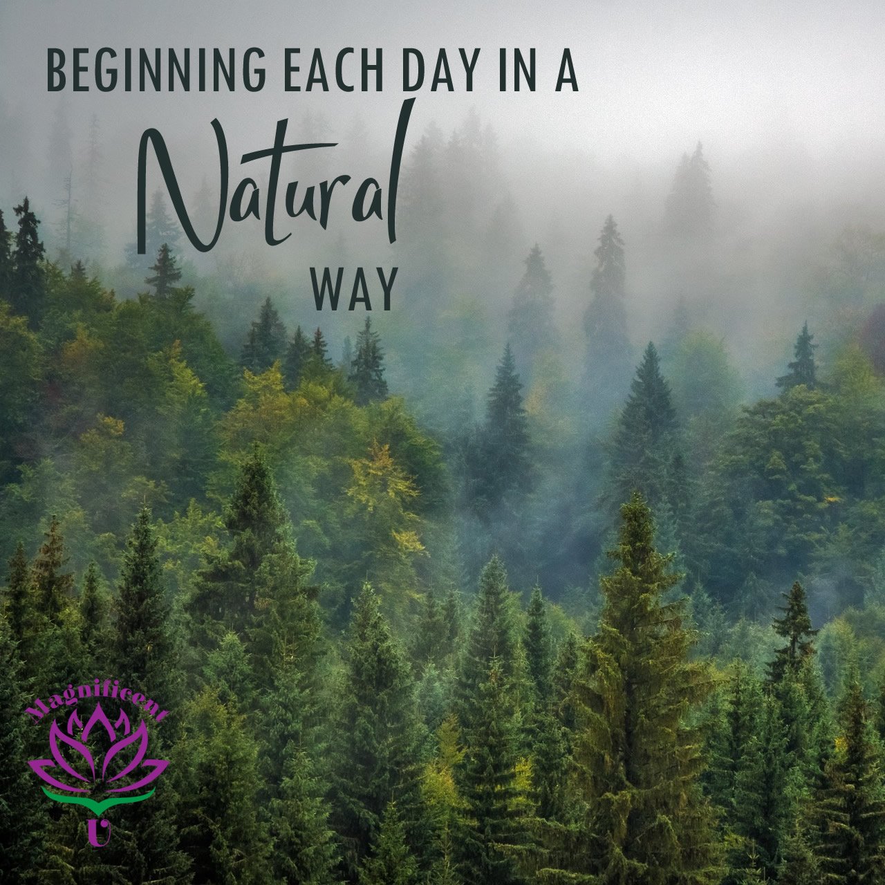 Beginning Each Day in a Natural Way to Improve Health and Reduce Stress