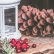 Winter Solstice Traditions Yule