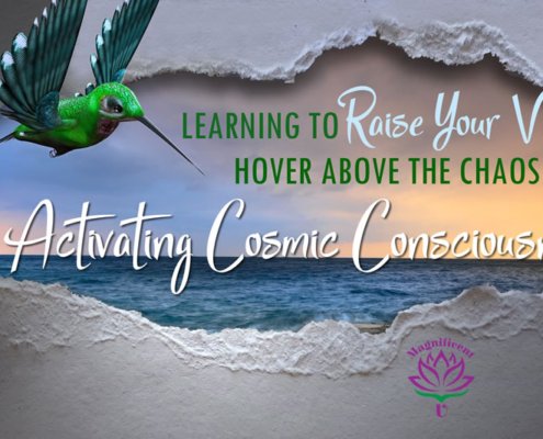 Activating Cosmic Consciousness Higher Chakra Workshop