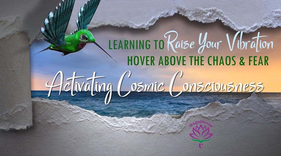 Activating Cosmic Consciousness Higher Chakra Workshop