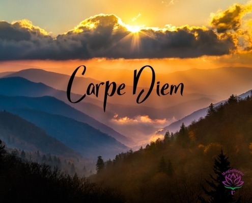 Seize the Day Carpe Diem