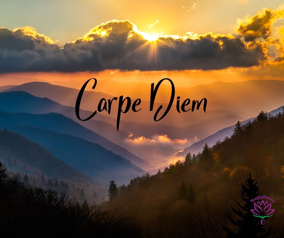 Seize the Day Carpe Diem