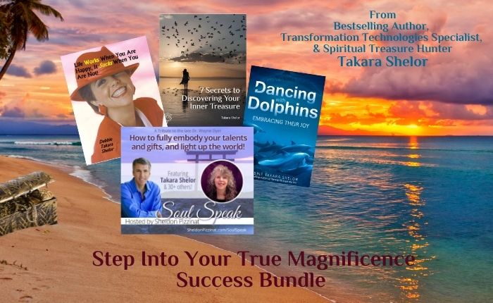 Magnificence Success Bundle