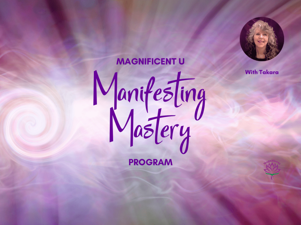 Manifesting Course workshop training learn to manifest Law of Attraction