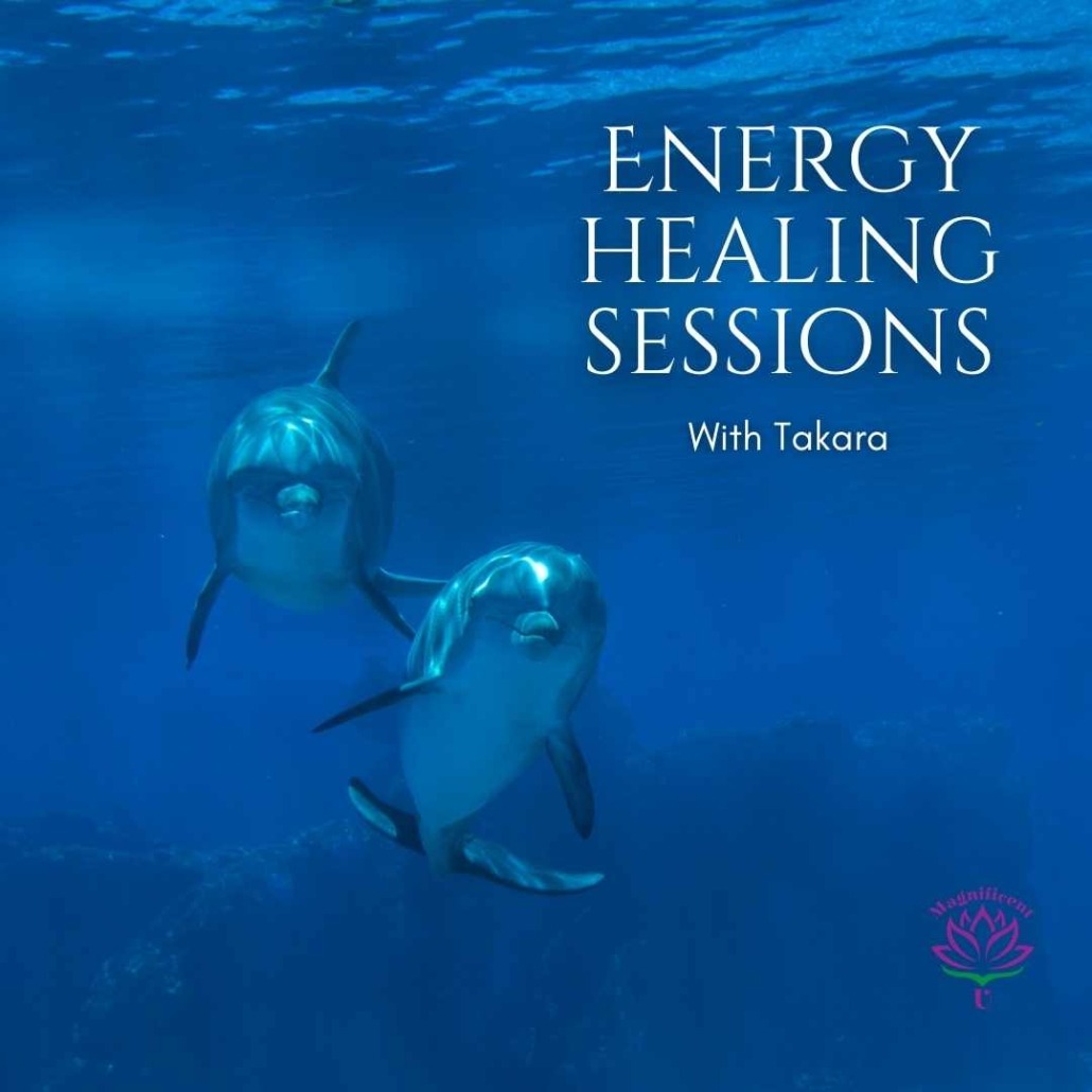 Private 1 on 1 Energy Healing Session Dolphin Energy Healing