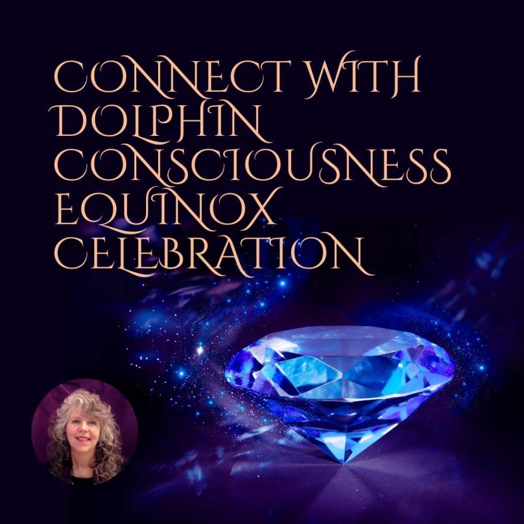 Dolphin Energy Healing Equinox Meditation Celebration Equinox Traditions