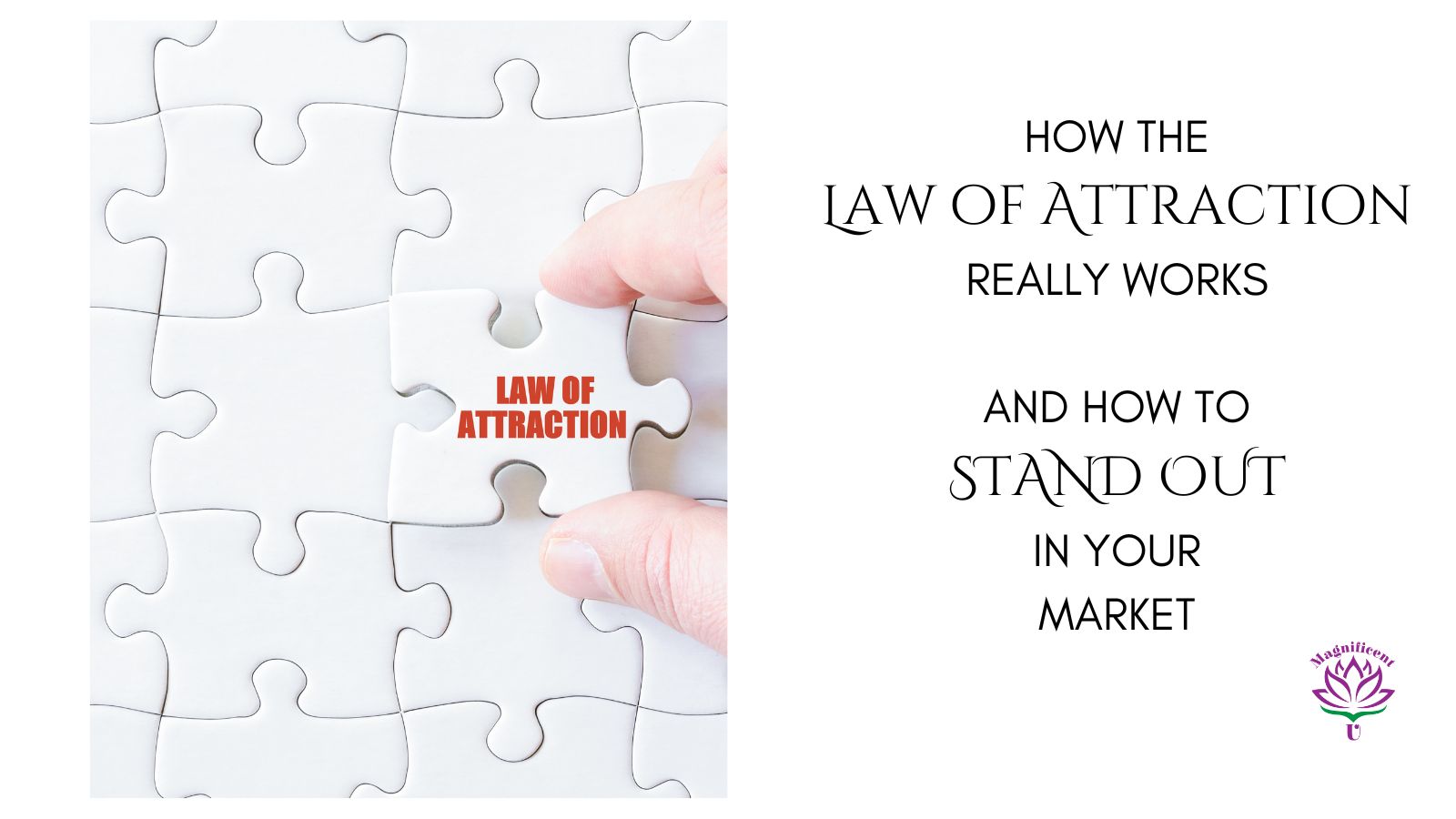 LOA Stand Out MU How Law of Attraction works
