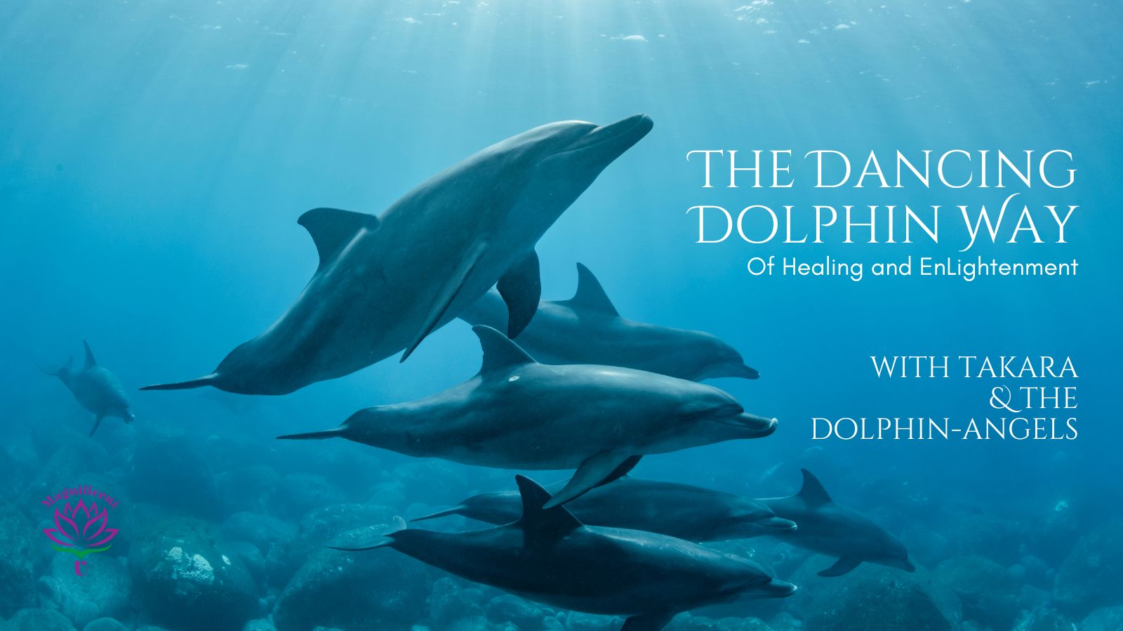 The Diamond Dolphin Way twitter dolphin energy healing course