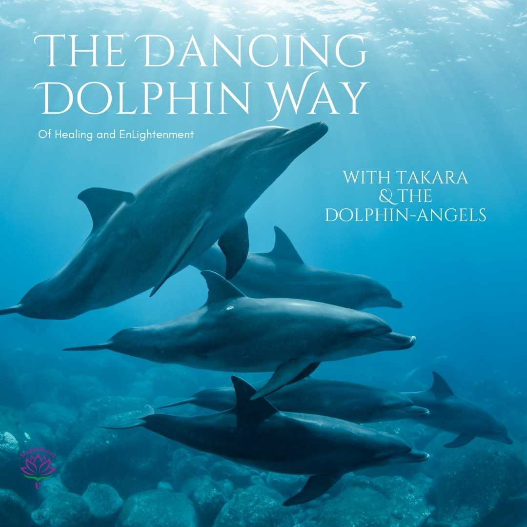 The Dancing Dolphin Way twitter (Instagram Post (Square)) Dancing Dolphin Way Energy Healing Online Program Transformation with Takara